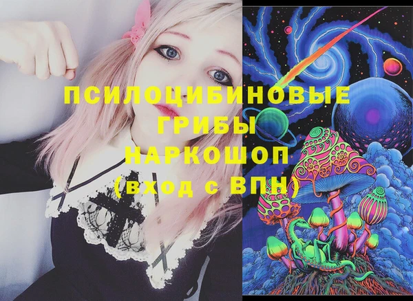 jwh Белокуриха