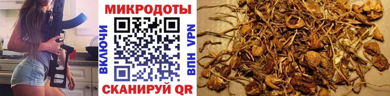 МЕГА ONION  сколько стоит  Коркино  Галлюциногенные грибы Psilocybe 